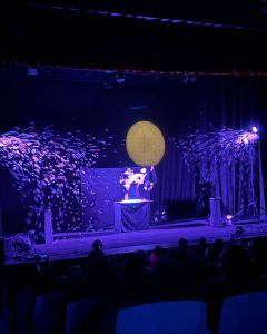 el-professor-bromera-teatre-la-bobila